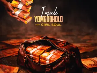 Busta 929, Imali Yomgobholo, Remix, Makwande.SA, Civil Soul, mp3, download, datafilehost, toxicwap, fakaza,House Music, Amapiano, Amapiano 2026, Amapiano Mix, Amapiano Music