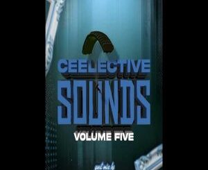 Ceeman, Ceelective Sounds 005, Kay Dee Vastro Guest Mix, mp3, download, datafilehost, toxicwap, fakaza,House Music, Amapiano, Amapiano 2026, Amapiano Mix, Amapiano Music