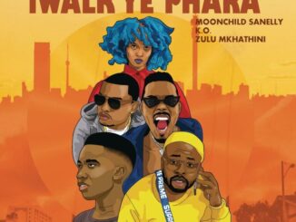 DJ Maphorisa, iWalk Ye Phara, DJ Raybel, Moonchild Sanelly, K.O., Zulu Mkhathini, mp3, download, datafilehost, toxicwap, fakaza,House Music, Amapiano, Amapiano 2026, Amapiano Mix, Amapiano Music