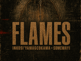 Digital Maskandi, Flames, Inkos’yamagcokama, Somcwayi, mp3, download, datafilehost, toxicwap, fakaza, Maskandi Songs, Maskandi, Maskandi Mix, Maskandi Music, Maskandi Classics