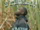 Djknator, Bathi Igqom, Babes Wodumo, mp3, download, datafilehost, toxicwap, fakaza, Gqom Beats, Gqom Songs, Gqom Music, Gqom Mix, House Music