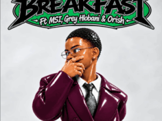 Dolphin, Breakfast, Msi, Grey Hlobani, Orish, mp3, download, datafilehost, toxicwap, fakaza, Hiphop, Hip hop music, Hip Hop Songs, Hip Hop Mix, Hip Hop, Rap, Rap Music