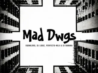 GqoMLorD, Mad Dwgs, DJ Liddz, PERFECTO-MLU, DJ Banana, mp3, download, datafilehost, toxicwap, fakaza,House Music, Amapiano, Amapiano 2026, Amapiano Mix, Amapiano Music