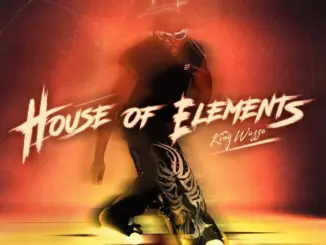 King Wazza, House of Elements, download,zip, zippyshare, fakaza, EP, datafilehost, album, House Music, Amapiano, Amapiano 2026, Amapiano Mix, Amapiano Music