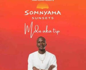 Mdu aka TRP, Somnyama Sunsets 049, Deep piano Mix, mp3, download, datafilehost, toxicwap, fakaza,House Music, Amapiano, Amapiano 2026, Amapiano Mix, Amapiano Music