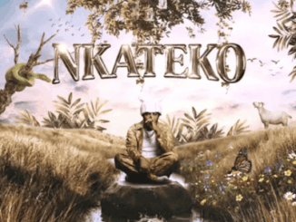 MetroBeatz RSA, Nkateko, download, zip, zippyshare, fakaza, EP, datafilehost, album, House Music, Amapinao, Amapiano 2026, Amapiano Mix, Amapiano Music