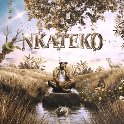 MetroBeatz RSA, Nkateko, download, zip, zippyshare, fakaza, EP, datafilehost, album, House Music, Amapinao, Amapiano 2026, Amapiano Mix, Amapiano Music