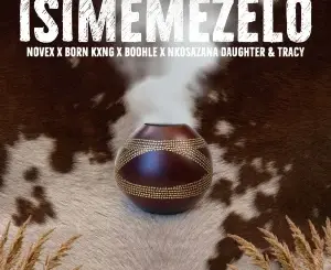 Novex, Isimemezelo, Born Kxng, Boohle, Nkosazana Daughter, Tracy, mp3, download, datafilehost, toxicwap, fakaza,House Music, Amapiano, Amapiano 2026, Amapiano Mix, Amapiano Music