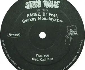 PAGEZ, Was You, Dr Feel, Beekay Monalayzzar, Kali Mija,mp3, download, datafilehost, toxicwap, fakaza, Afro House, Afro House 2026, Afro House Mix, Afro House Music, Afro Tech, House Music