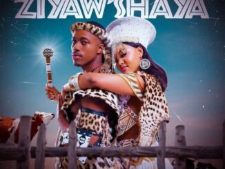 Real Nkosana, Ziyaw’shaya, Goldmax, mp3, download, datafilehost, toxicwap, fakaza, Gqom Beats, Gqom Songs, Gqom Music, Gqom Mix, House Music
