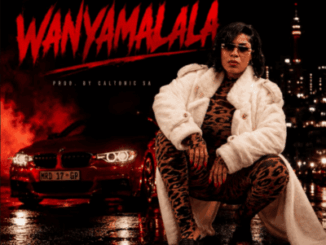 Sandy MRD, Wanyamalala, Caltonic SA, mp3, download, datafilehost, toxicwap, fakaza,House Music, Amapiano, Amapiano 2026, Amapiano Mix, Amapiano Music