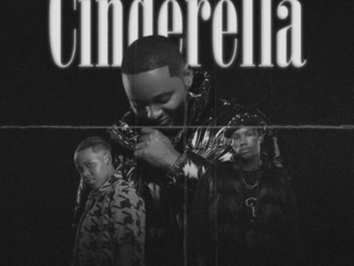 Sir Trill, Cinderella, Okwanda, Udoti Udemedi, ZiiBeats, mp3, download, datafilehost, toxicwap, fakaza,House Music, Amapiano, Amapiano 2026, Amapiano Mix, Amapiano Music