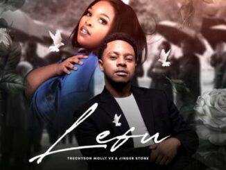 Trechyson Molly vx, Lefu, Jinger Stone, mp3, download, datafilehost, toxicwap, fakaza,House Music, Amapiano, Amapiano 2026, Amapiano Mix, Amapiano Music
